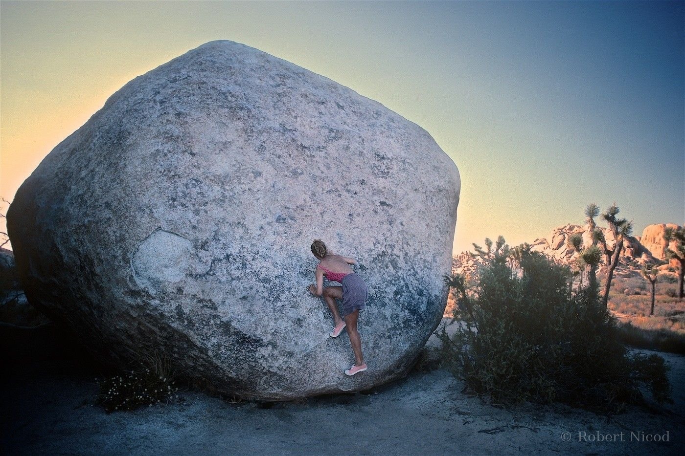 Escalade — Evelyne Hébert, Joshua Tree, Californie 1988
