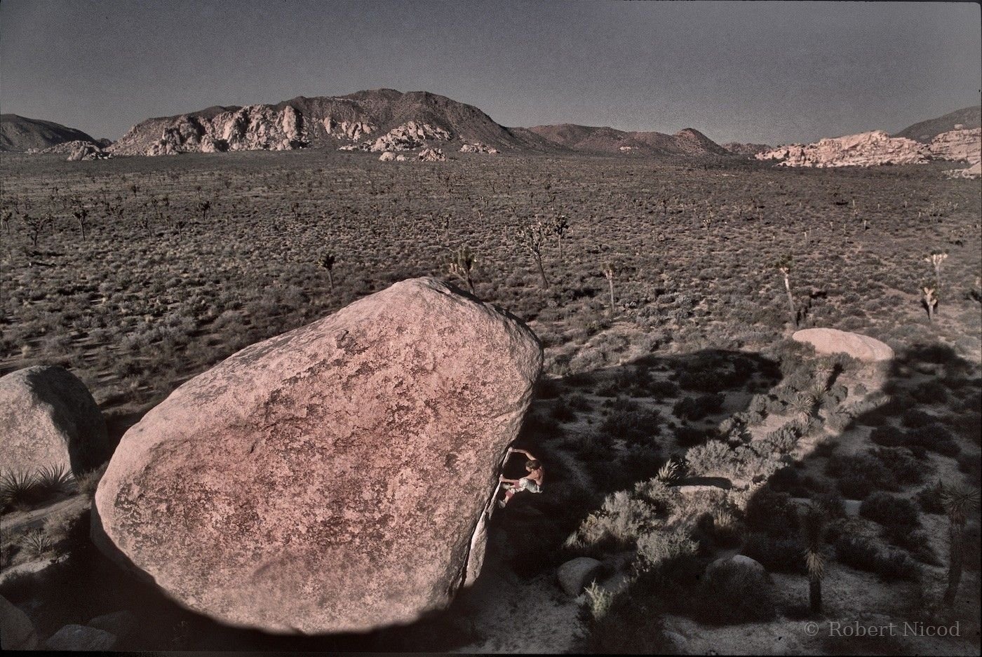 Escalade — Xaver Bongard, bloc dans le désert, Joshua Tree, Californie 1987