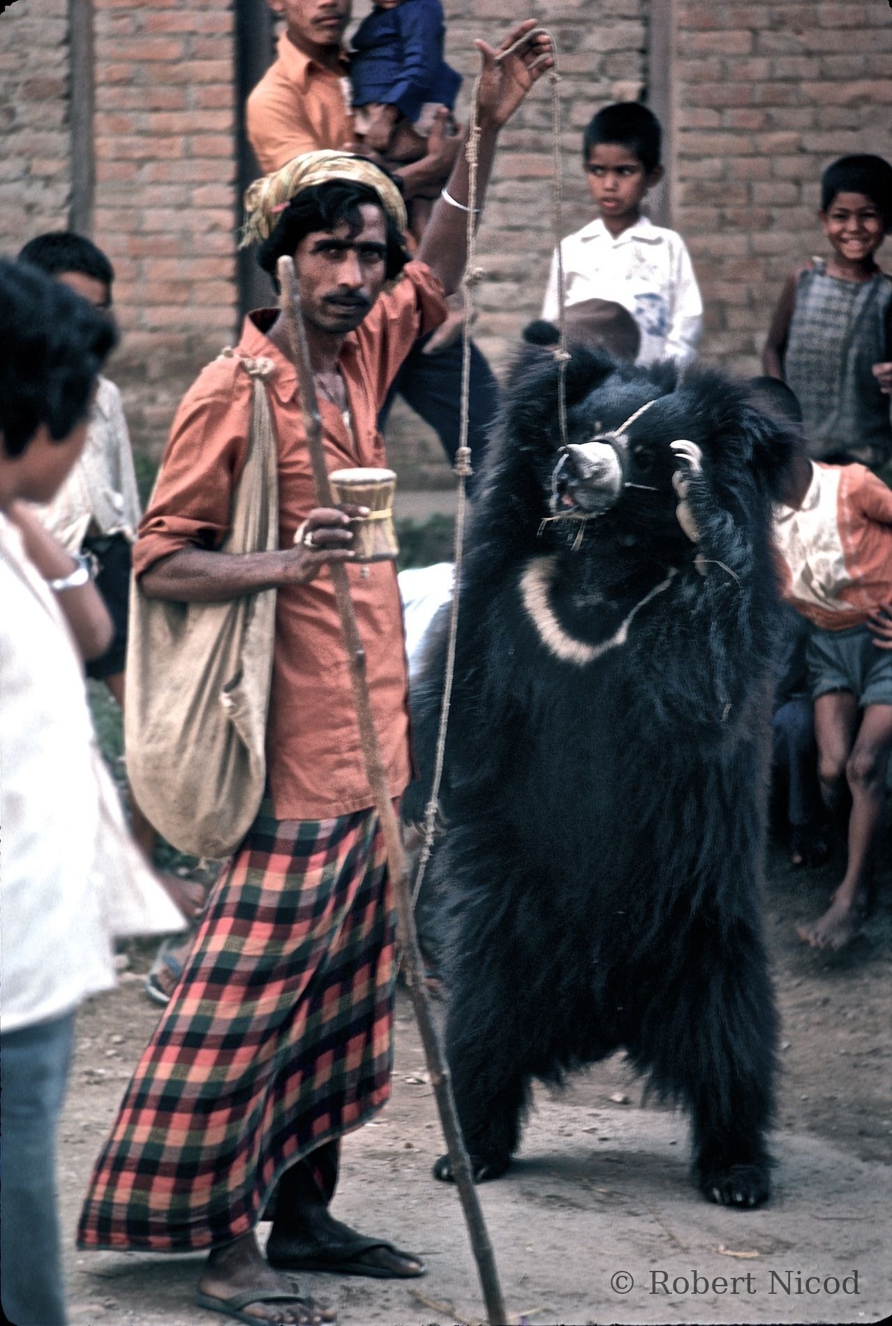 Reportage Inde 1977 — Maltraitance animale en spectacle, aujourd'hui interdite, Delhi 1977