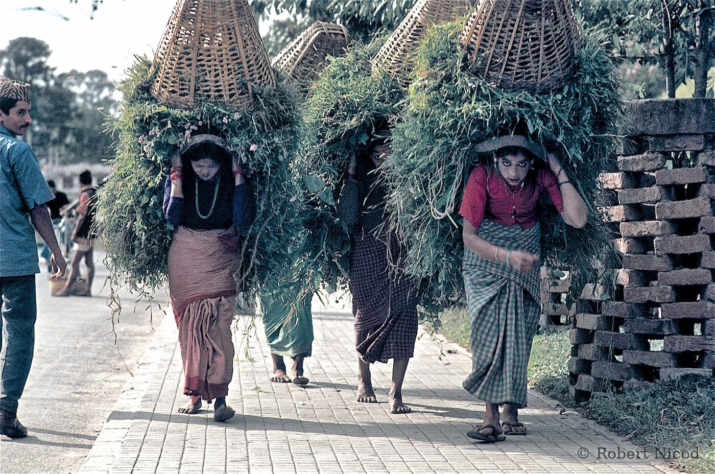 Nepal 1977 — 35 kg of fodder on his back, Kathmandu 1977