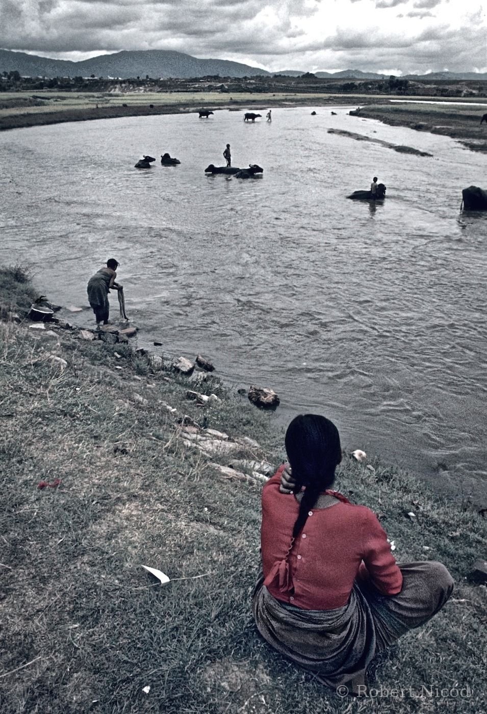 Nepal 1977 — Farmers and domesticated buffaloes crossing the river, Kathmandu Valley 1977