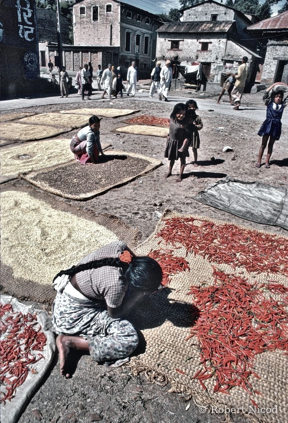 Nepal 1977 — Sorting chillies and grain, Kathmandu 1977