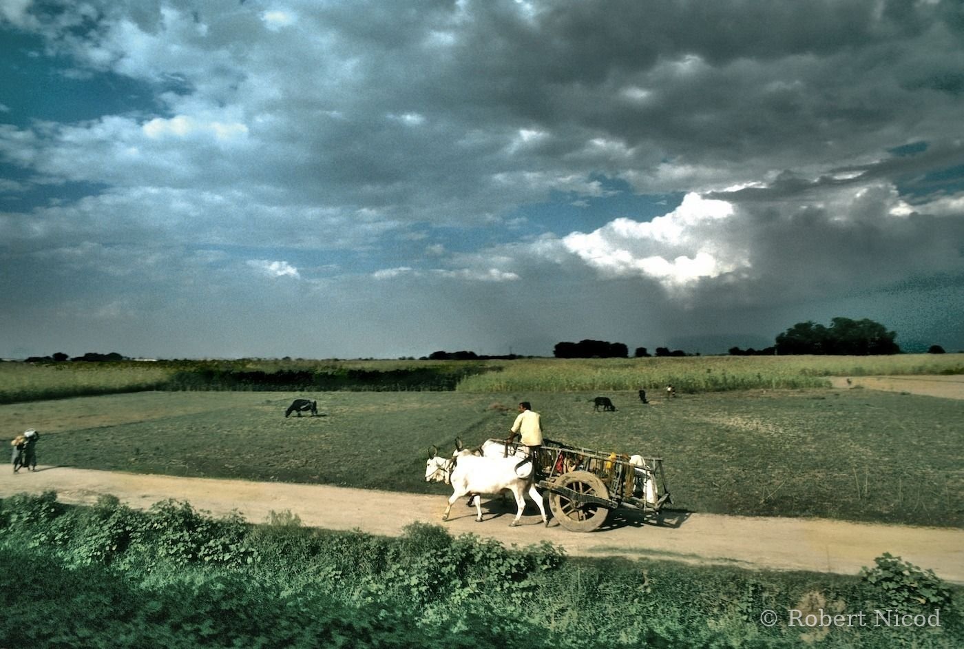 Nepal 1977 — Nepal 1977