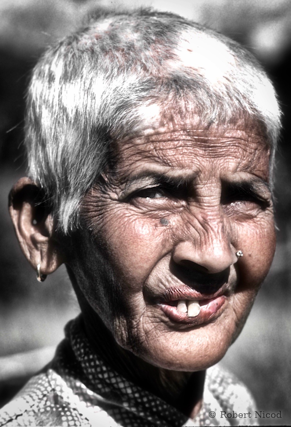 Nepal 1977 — Nepal 1977