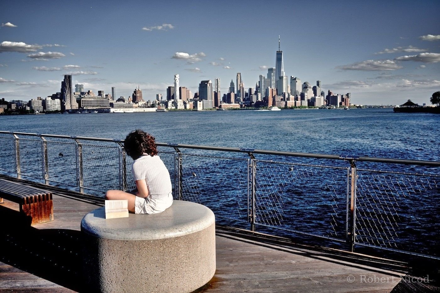 New York — Le livre peut attendre, New York