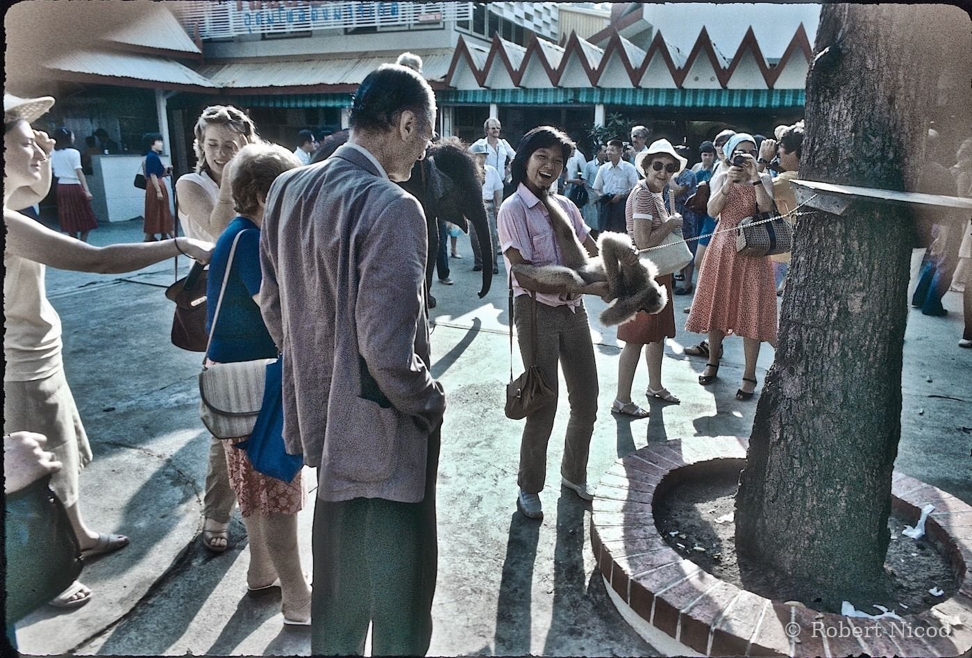 Tourists in Asia — A shadow that says a lot..., Thailand 1980