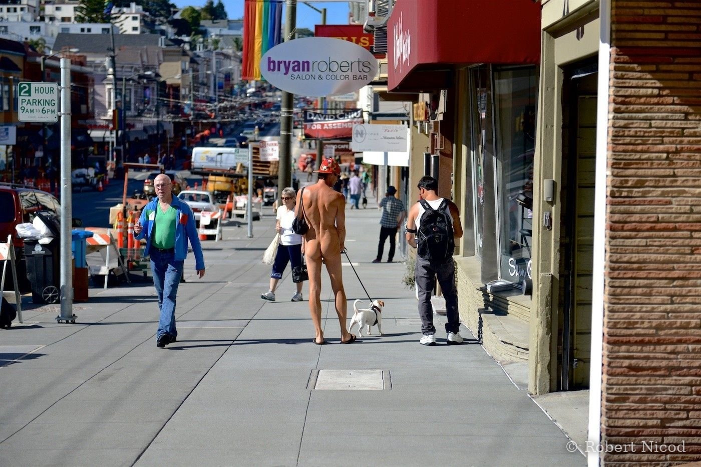 Cities of the West — Dog walking, The Castro, gay neighborhood, San Francisco 2014