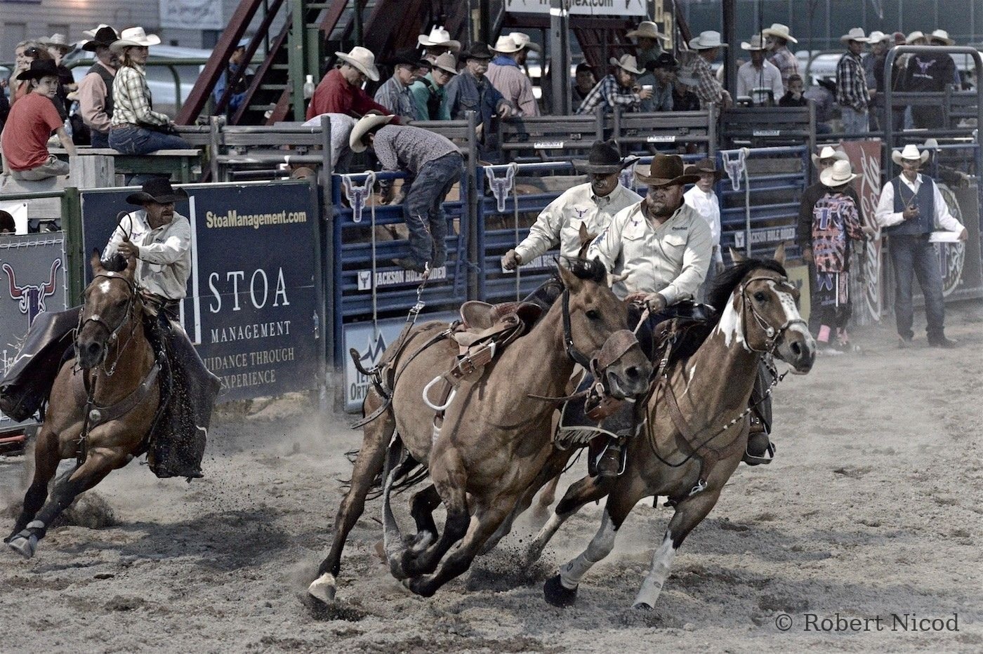 Cities of the West — Jackson Hole rodeo, Wyoming 2014