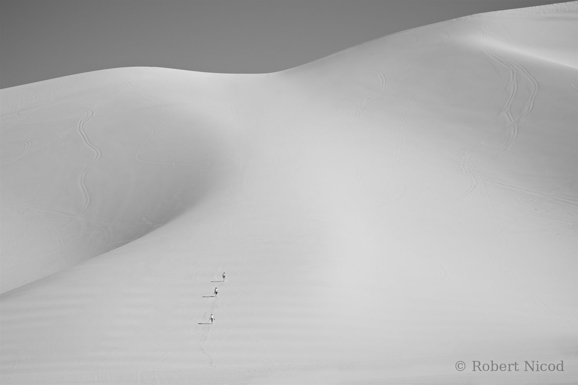 Tourists in the West — Monumental dune, Nevada
