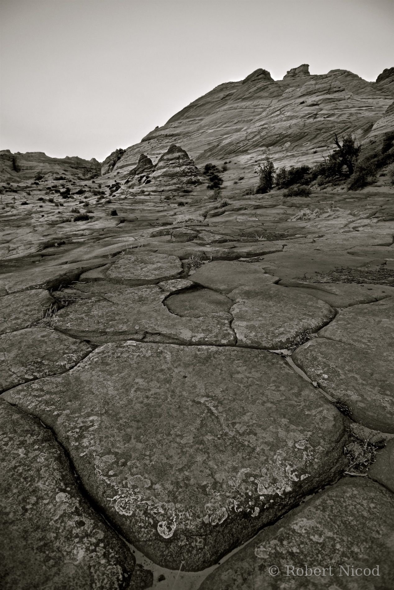 Tourists in the West — Coyote Buttes, Utah