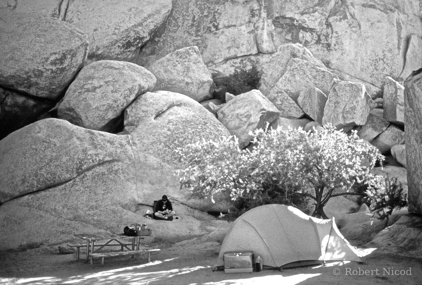 Tourists in the West — Campsite, Joshua Tree, California