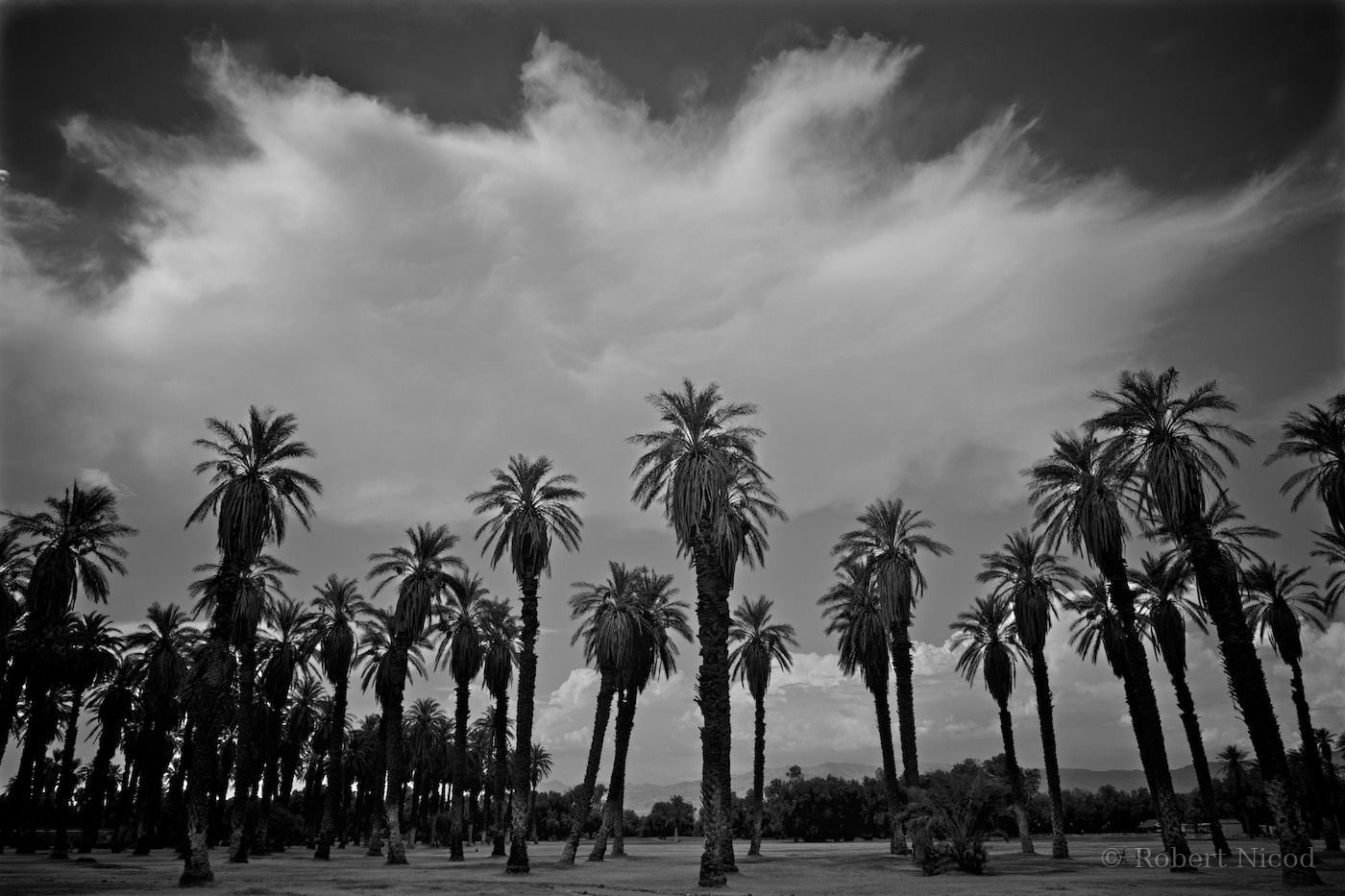 Tourists in the West — Furnace Creek, Death Valley, California