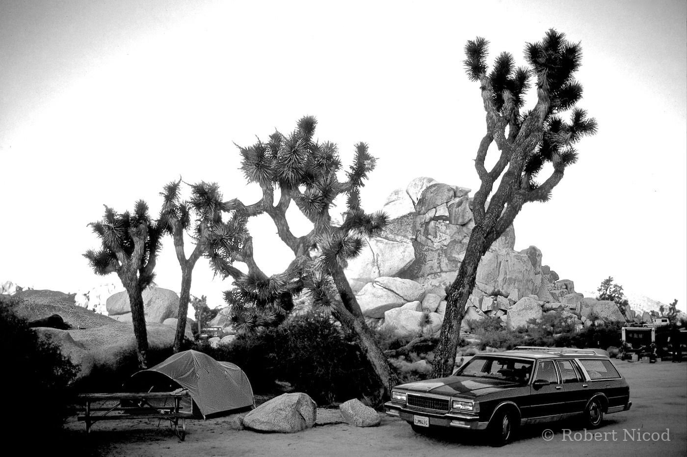Tourists in the West — Campsite, Joshua Tree, California