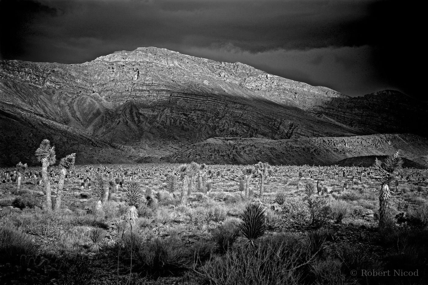 Tourists in the West — Death Valley, California