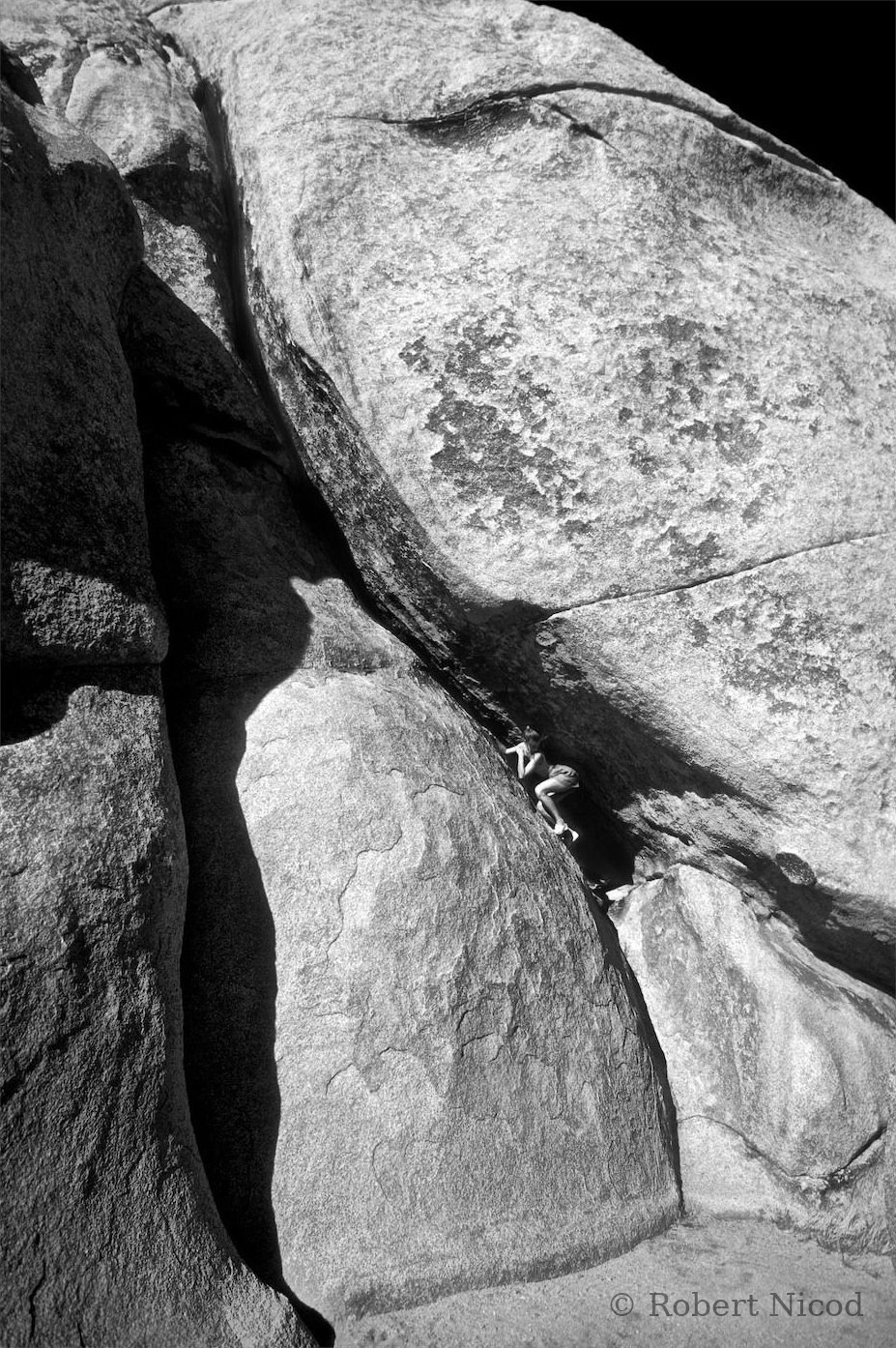 Tourists in the West — Taking a risk, Joshua Tree, California